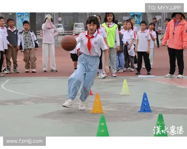 以篮球为纽带探索团队合作与青春拼搏的力量