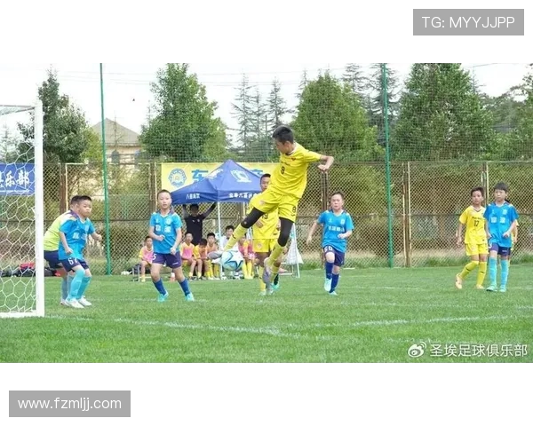 绿茵荣耀追梦之路见证激情与汗水交织的足球世界 绿茵荣耀追梦之路见证激情与汗水交织的足球世界