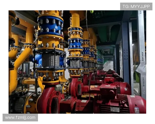 成都排球队展现卓越团队协作精神大满贯点评分析其成功之道 成都排球队展现卓越团队协作精神大满贯点评分析其成功之道