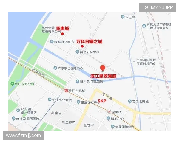 聚焦飞盘运动杭州飞盘队如何提升耐力与团队协作能力