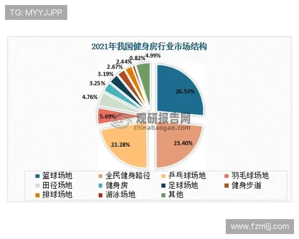 西安篮球队速度分析与战术应用的深度研究与探讨