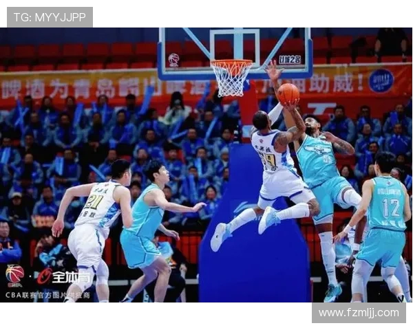 广厦与辽宁2017年精彩对决视频回顾全场比赛亮点与精彩瞬间解析